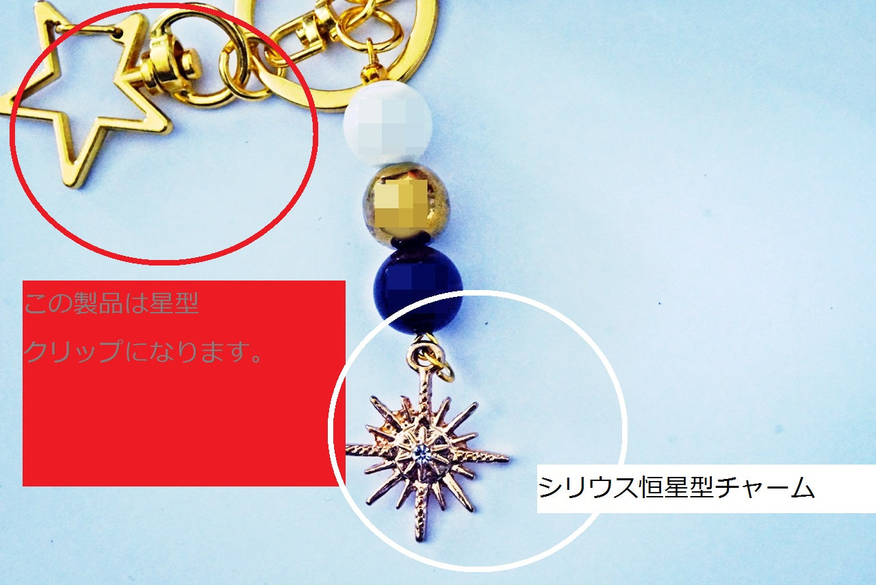 Bijou de sac / ライオンズ・ゲートアチューンメントモデル・フランス製香水ビン